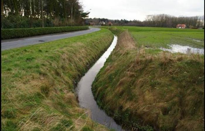 De waterloop enkele jaren later. Een ruggengraat voor het toekomstig afkoppelingsbeleid van het gemeentebestuur