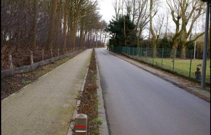 Combinatie van een fietsweg en rijweg die toegang verschaft tot ambachtelijke bedrijven. Bijzondere aandacht voor toegankelijkheid bedrijven, waardevol bos en toch hoog fietscomfort