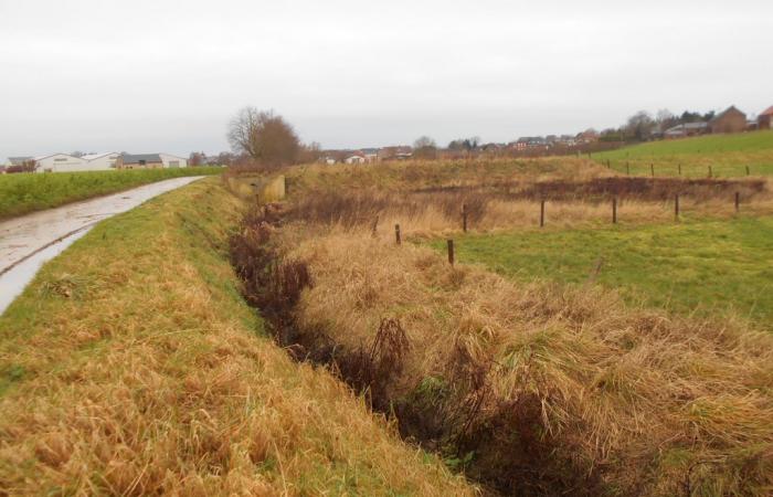 Hydronautstudie - Fundamentele update bestaande toestand en nieuwe studie GT