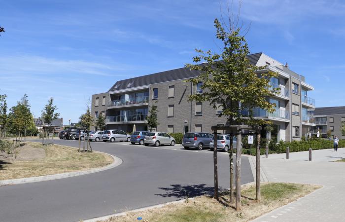 Herinrichting Sint-Jozefsdreef, Oostkamp