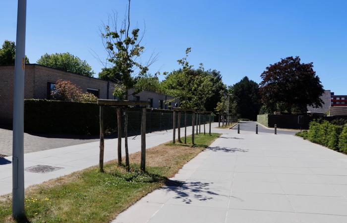 Herinrichting Sint-Jozefsdreef, Oostkamp