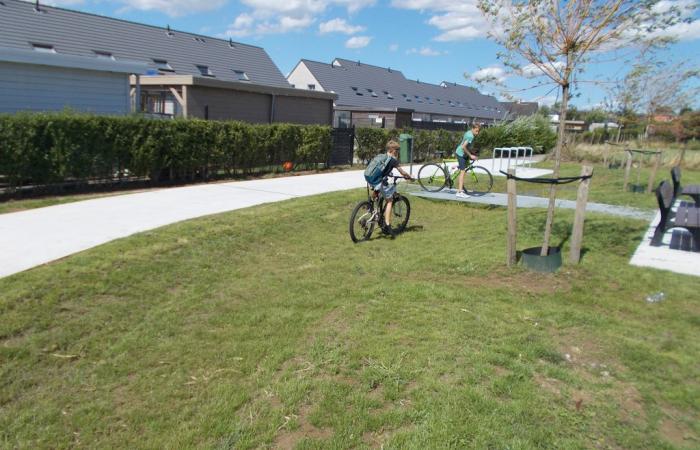 Groenzone in een verkaveling