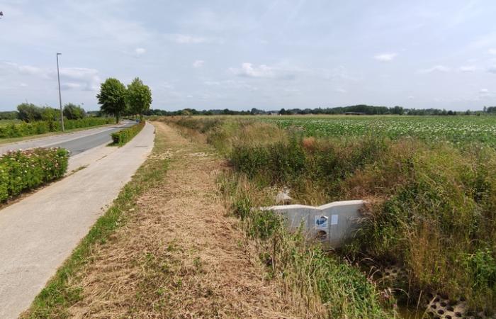 Optimaal gescheiden rioleringsstelsel in de (Kleine) Lostraat, Roosdaal